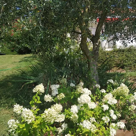 Casa Fellini * San Zeno di Montagna