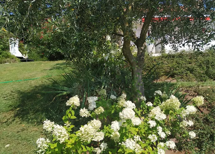 Casa Fellini * San Zeno di Montagna