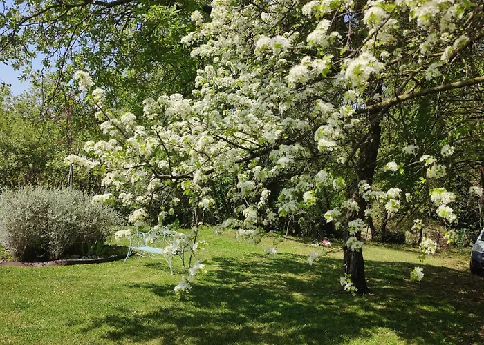 Nyaraló Casa Fellini *